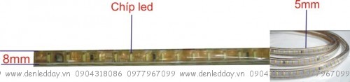 Đèn led dây 3014 siêu sáng