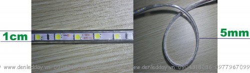 Đèn led dây 5050 siêu sáng