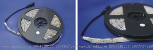 Đèn led dây siêu sáng 5050 3 chíp led IP65