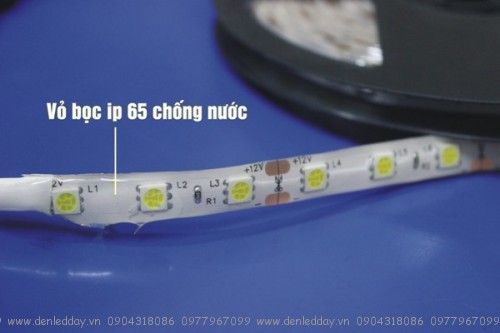 IP65 chống nước