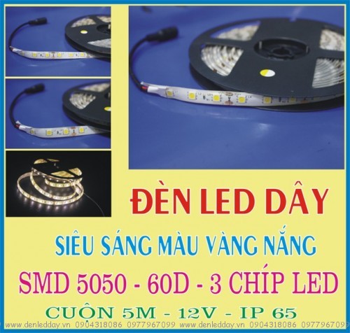 đèn led dây 5050 3 chíp màu vàng nắng ip65