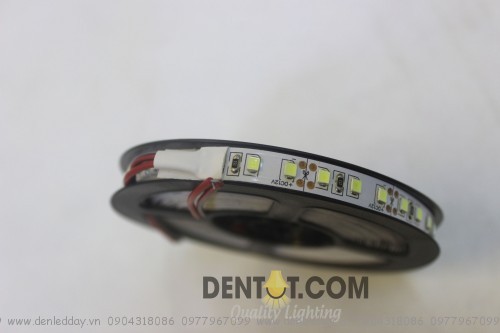 led dây 2835-12V-IP33-Double-PCB-T