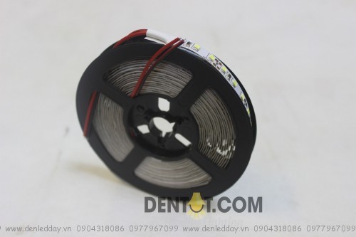 Đèn led dây 2835-12V-120L/M – IP33 , cuôn 5m Double PCB-Trắng