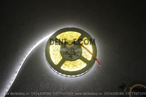 Đèn led dây 2835-12V-120L/M – IP33 , cuôn 5m Single PCB-Trắng