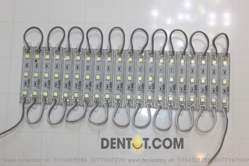 Led Cụm 5050