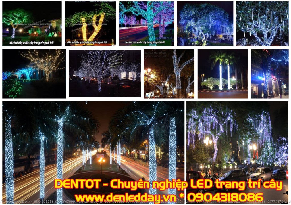 Đèn LED quấn cây, trang trí cây lung linh