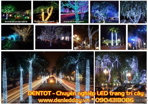 Đèn LED quấn cây, trang trí cây lung linh