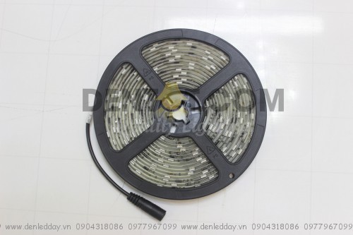 cuộn led magic 5m