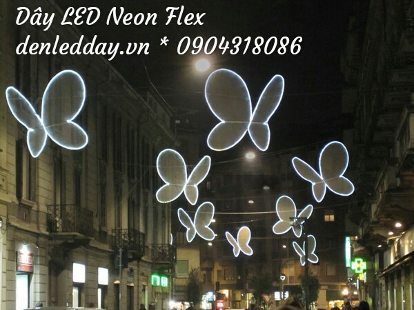 Đèn led neon flex tạo hình bướm đêm