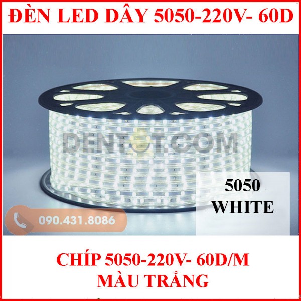 Đèn led dây 5050 loại mạch bé, màu trắng