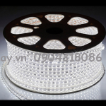 Đèn led dây 5050 loại mạch bé, màu trắng