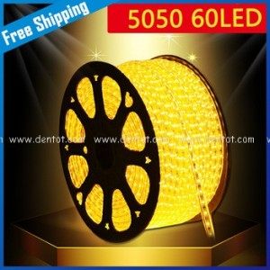 Đèn LED dây 5050