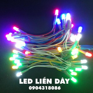 LED liền dây