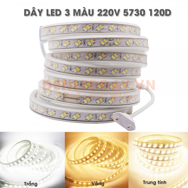 Dây LED 3 Màu 5730-120D